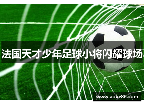 法国天才少年足球小将闪耀球场